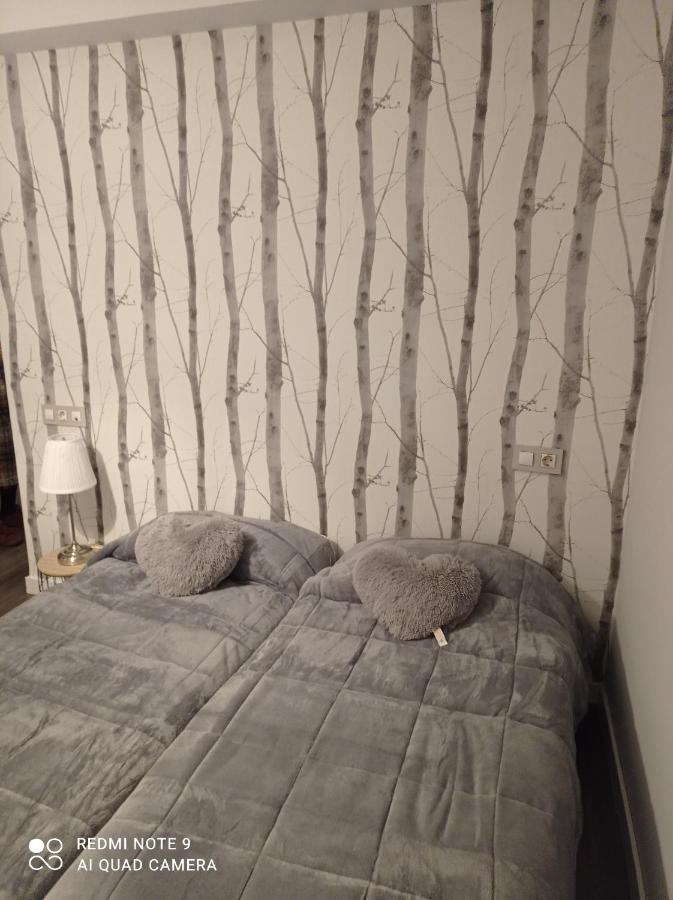 Zapaterias Appartement León Buitenkant foto